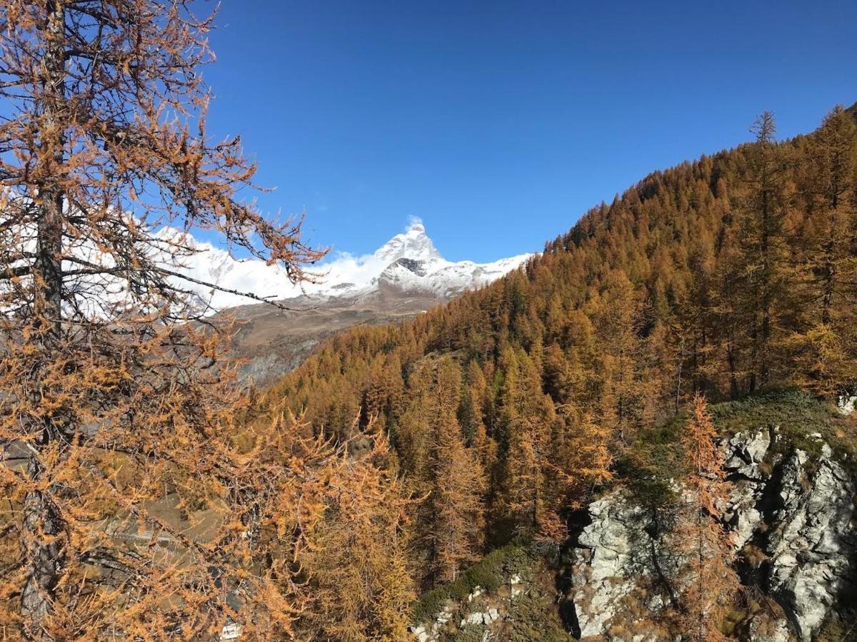 Appartamento Cervinia Fronte Funivie Breuil-Cervinia Exteriér fotografie